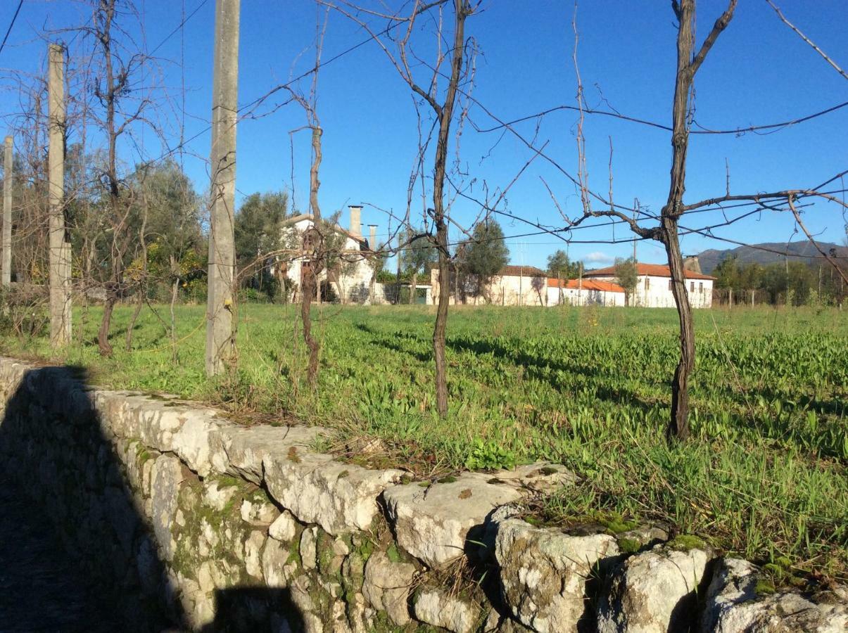 Quinta De Areias Bed & Breakfast Crespos Dış mekan fotoğraf
