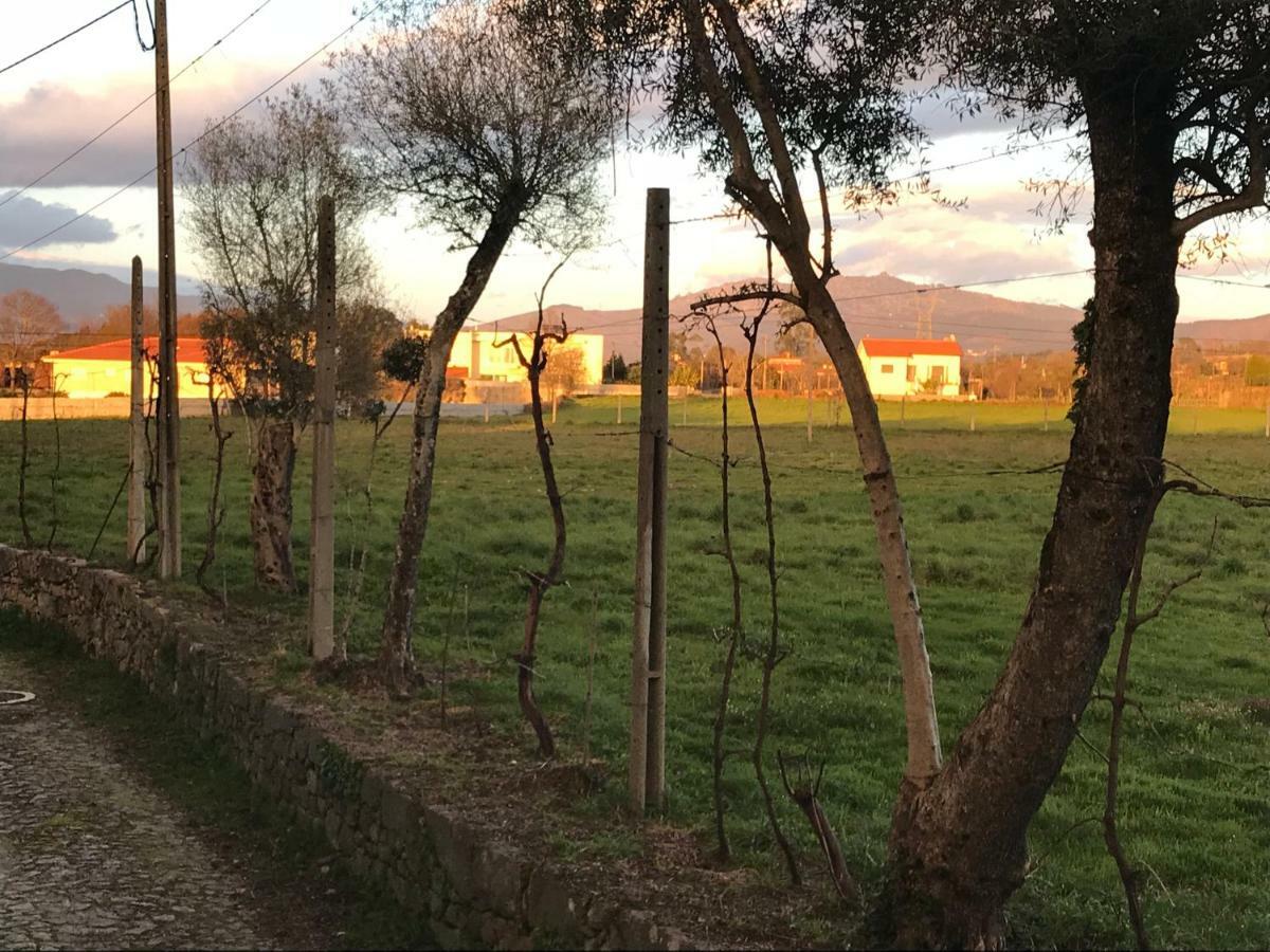 Quinta De Areias Bed & Breakfast Crespos Dış mekan fotoğraf